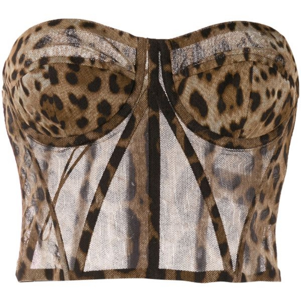 Dolce & Gabbana Leopard Print Sheer Bustier
